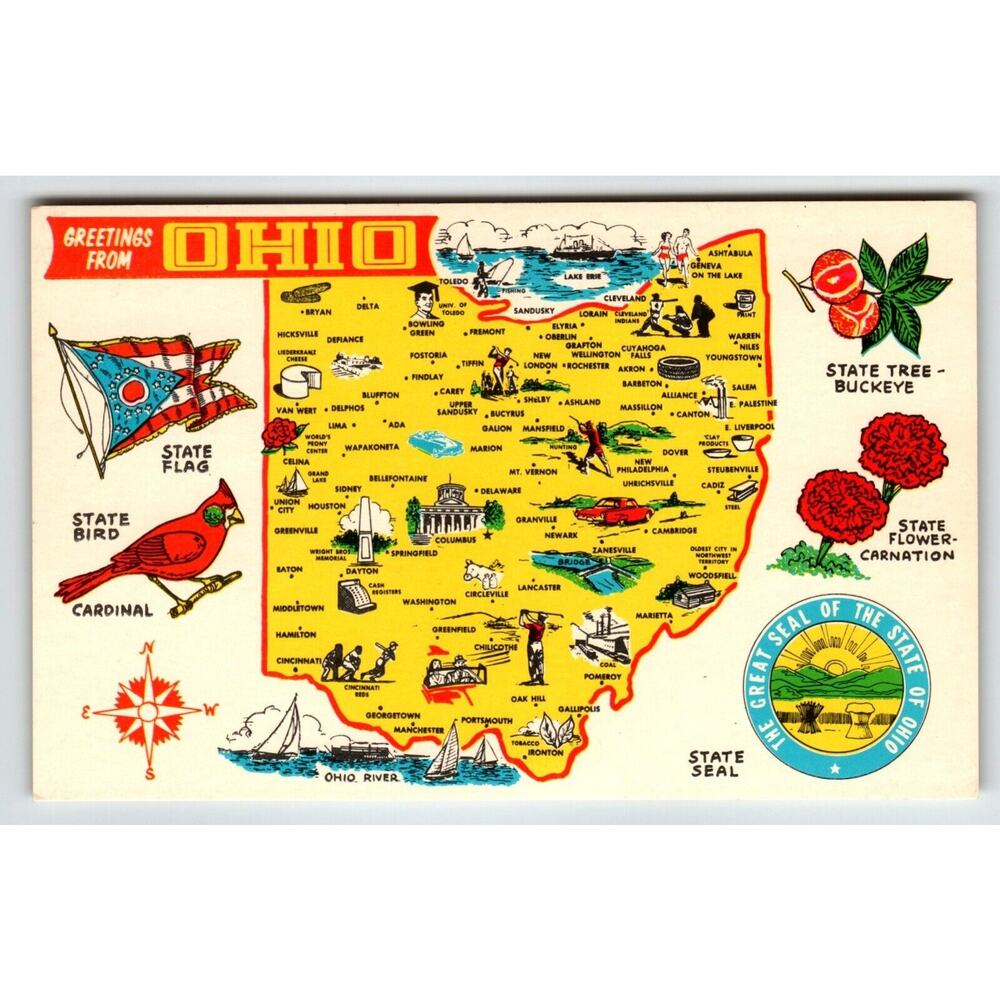 Postcard Greetings From Ohio Map Chrome State Flower Carnation Cardinal Buckeye